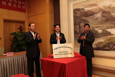 文化遺產(chǎn)保護(hù)進(jìn)入數(shù)字化發(fā)展快車(chē)道